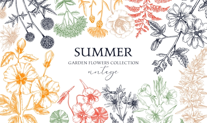 Hand drawn summer background. Garden flowers frame design in sketch style. Vinatge botanical illustration in color. Floral banner for prints, cards, posters